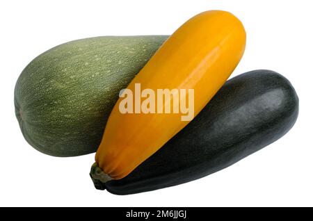 Three zucchini of different colors, isolated Stock Photo
