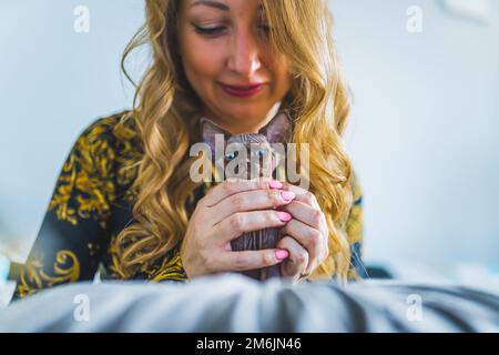 A woman gently holding a Devon rex cat in her hands while looking at it affecionately. Close-up shot. Pet concept. High quality photo Stock Photo