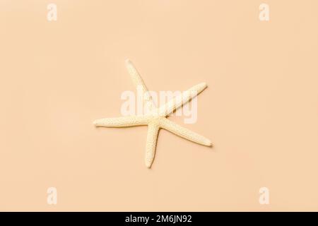 Starfish sea on beach beige background. Summer background. Decorative textile . Isolated object. Stock Photo