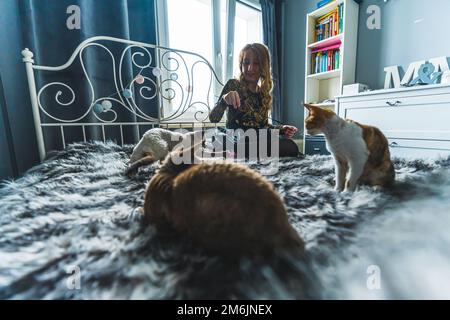 Three Devon rex cats playing with a toy held by a woman. Focus on the background. Pet concept. Medium shot. High quality photo Stock Photo