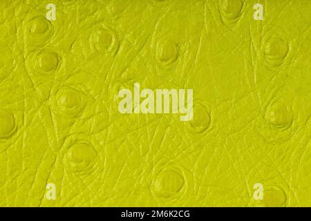 Closeup detail of green leather texture background. Stock Photo