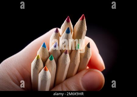 Hand holding colored pencils for creative idea and concept. Stock Photo