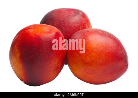 Several nectarines isolated on white background Stock Photo