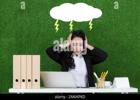 The grass business women are using laptops Stock Photo