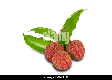 Bunch of lychee with green leaves isolated on white background with clipping path. Stock Photo