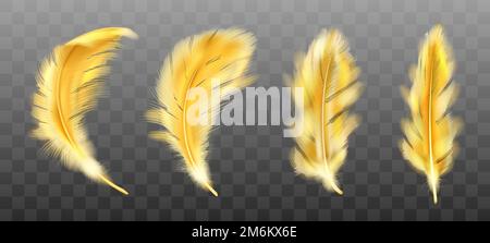 Golden yellow fluffy feather vector realistic set isolated on transparent background. Gold feathers from wings of birds or angel, symbol of softness and purity, design element Stock Vector