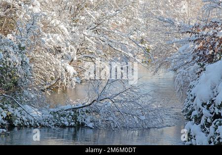Fresh snow at the Aach in Rielasingen-Worblingen Stock Photo