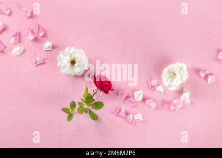 Flower background with a red rose and petals, shot from above on pink Stock Photo