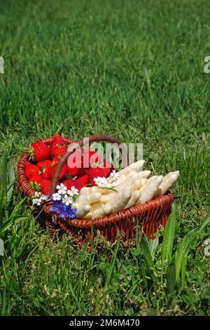 Fresh raw white asparagus and red strawberries offered as close-up in a basket outdoor at a green meadow at sun light Stock Photo
