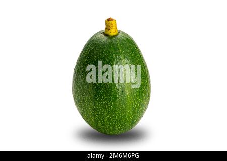 Single green fresh avocado with stalk isolated on white background. Stock Photo