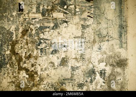 Grunge wall texture. High resolution vintage background. Stock Photo