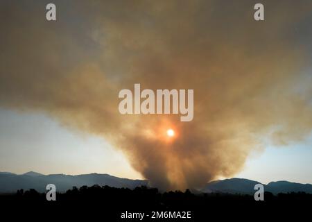 Large column of smoke from a forest fire Stock Photo - Alamy