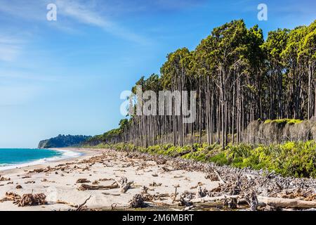 Knight's Point Lookout Stock Photo