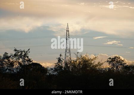 High voltage tower electric line cable with landscape nature trees in sunset time, Electric power lines Silhouette Stock Photo