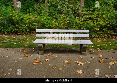 Lonely Bench in the City Park in autumn leaves on alley  Stock Photo