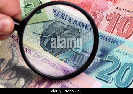Zimbabwean money - New serie of banknotes in a magnifying glass Stock Photo