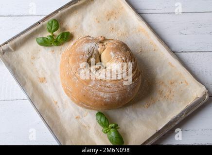 Ciabatta bread fresh and homemade baked on a baking tray isolated on white background Stock Photo