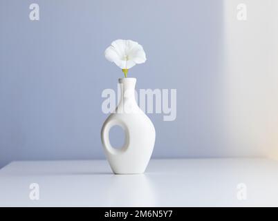 White vase and white flower on abstract  light blue background Stock Photo