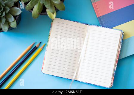 School accessories with notebook and succulents on blue Stock Photo