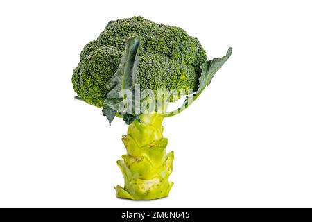 Side view of single fresh broccoli isolated on white background Stock Photo