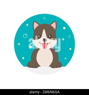 Colorful cute cartoon dog. Funny vector illustration. Vector illustration design. Vector drawing. Cartoon illustration. Vector isolated icon. Funny cartoon character. Vector illustration Stock Vector