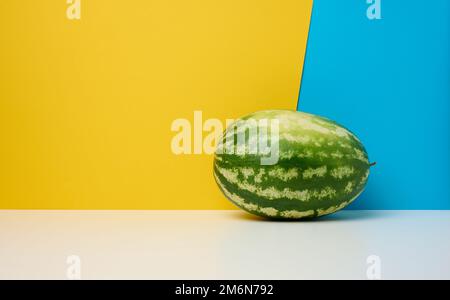 Round striped green watermelon on a yellow-blue background. Stock Photo