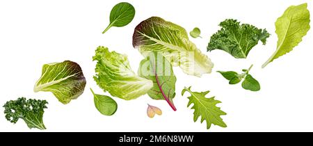 Falling salad leaves isolated on white background Stock Photo