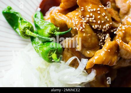 Chicken cooked in Japanese style with teriyaki sauce. Stock Photo