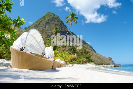 Sugar beach Saint Lucia ,white tropical beach palm trees and luxury beach chairs St Lucia Caribbean Stock Photo