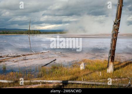 Dead trees with bobby socks in the Grand Prismatic Spring in Yellowstone Stock Photo