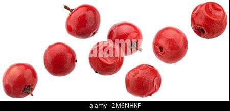 Falling red peppercorns isolated on white background Stock Photo
