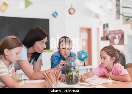 Female Teacher with kids in biology class at elementary school conducting biology or botanical scientific experiment about susta Stock Photo