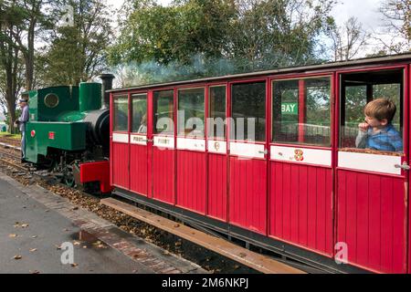 WOODY BAY, DEVON, UK - OCTOBER 19 :Lynton and Barnstaple Steam Railway  at Woody Bay Station in Devon on October 19, 2013. Three Stock Photo