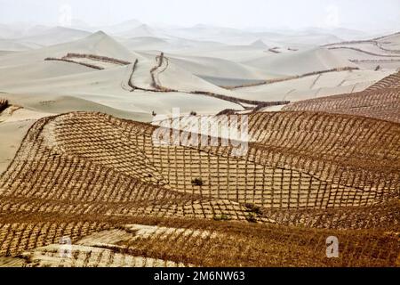 Planted straw to keep Taklamakan desert shifting-sands from moving onto roads and residential areas. Tarim Basin. Xinjiang Autonomus Region (Sinkiang) Stock Photo