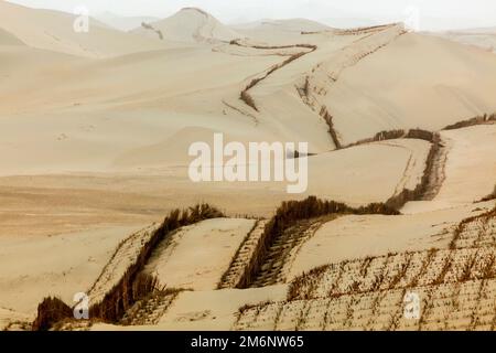 Planted straw to keep Taklamakan desert shifting-sands from moving onto roads and residential areas. Tarim Basin. Xinjiang Autonomus Region (Sinkiang) Stock Photo