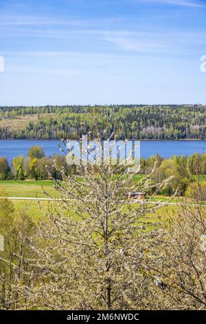 Country road in a valley in springtime Stock Photo - Alamy