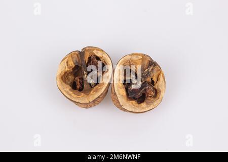 Close-up of a open walnut with rotten nut kernel. View of two walnuts isolated on white background. Rotten Nuts. Old Nuts Stock Photo