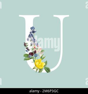 Floral capital letter U alphabet vector Stock Vector