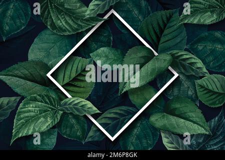 White  rhombus frame on a green leaves textured background Stock Vector