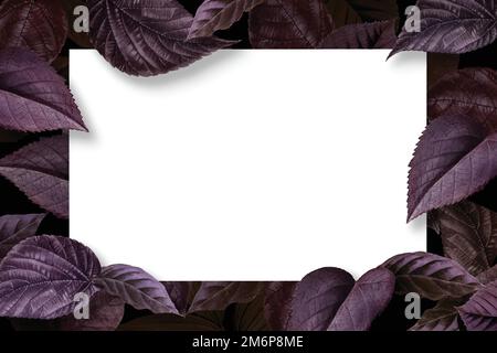 White plain poster on a metallic purple leaves textured background vector Stock Vector