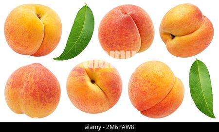 Apricot isolated on white background with clipping path Stock Photo