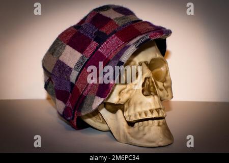 Skull wearing a burgundy and purple checkered hat with a button Stock Photo