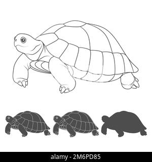 Vector black silhouette of a turtle isolated on a white background ...
