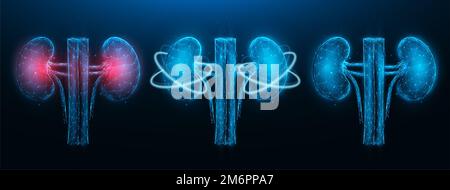 Polygonal vector illustration of inflamed diseased kidney, healthy kidney, and recovery of kidney functions on a dark blue backg Stock Photo
