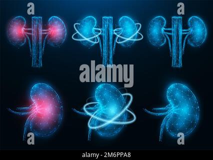 Set of polygonal vector illustrations of inflamed diseased kidney, healthy kidney, and recovery of kidney functions. Internal or Stock Photo