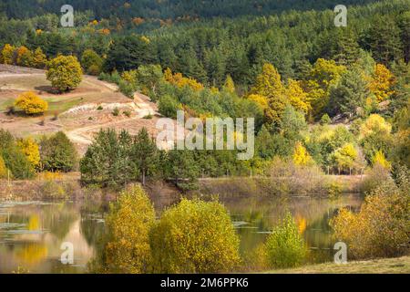 Golden magic autumn forest with colorful trees Stock Photo
