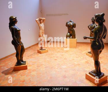 HYPERREALISM, THIS IS NOT A BODY EXHIBITION MAILLOL MUSEUM PARIS Stock Photo