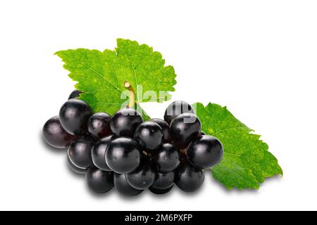 Bunch of ripe black grapes with green leaf isolated on white background. Stock Photo
