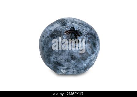 High angle view single ripe delicious blueberry isolated on white background. Stock Photo