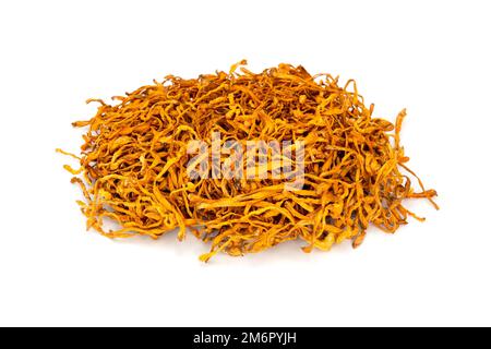 Cordyceps flowers (Cordyceps sinensis) on a white background Stock Photo